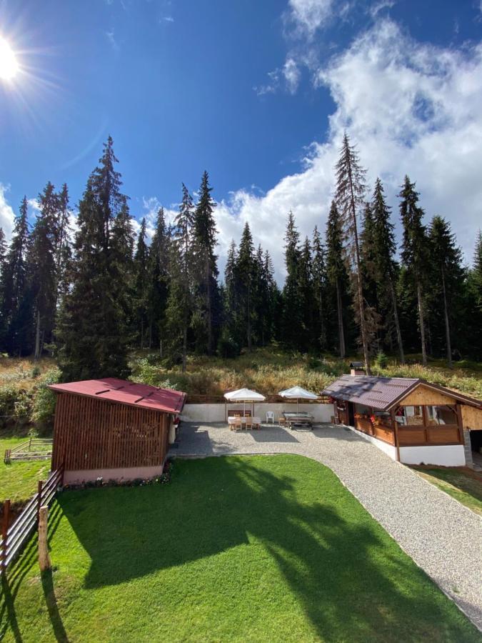 Cabana Ama Hotel Tău Bistra Buitenkant foto