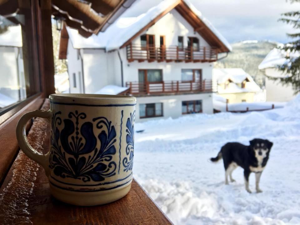 Cabana Ama Hotel Tău Bistra Buitenkant foto