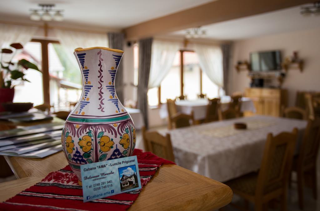 Cabana Ama Hotel Tău Bistra Buitenkant foto